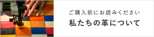 トライオンの革について