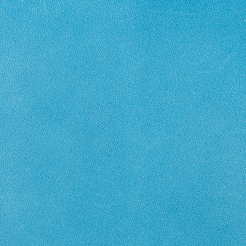 C.BLUE